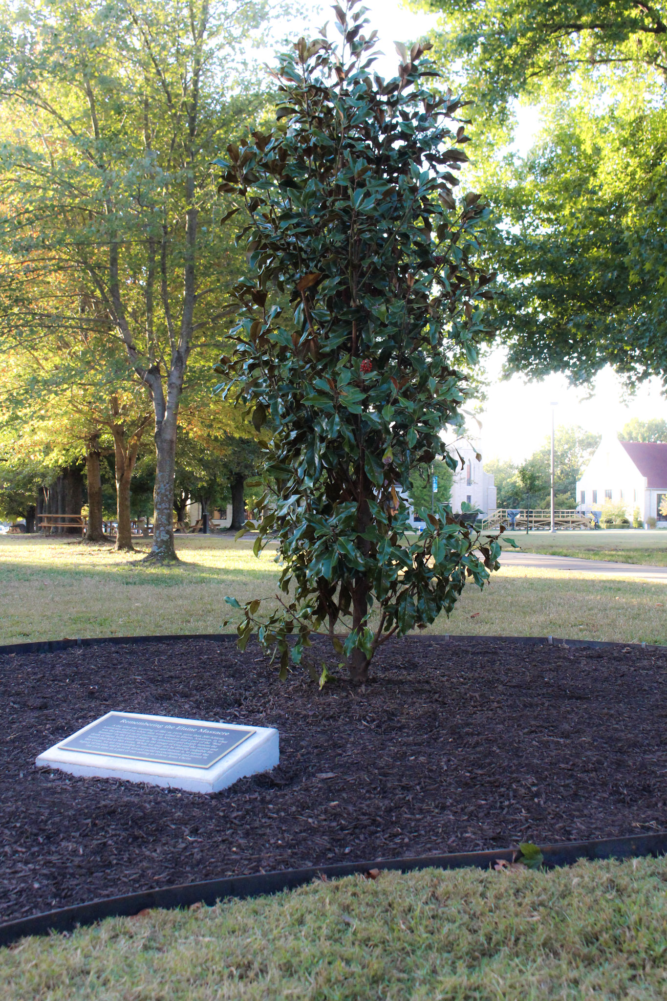 Memorial Tree Planted at John Brown University